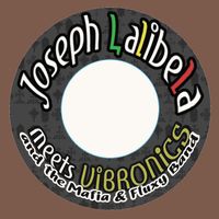 Vibronics - Chant Down Babylon