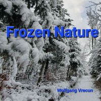 Wolfgang Vrecun - Frozen Nature