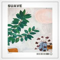 Dpsht, tenkousei. - Suave