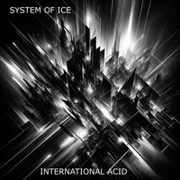SYSTEM OF ICE - International Acid