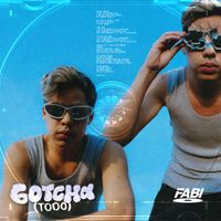 FABI - Gotcha (Todo)