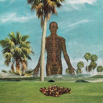 Howiewonder - Flight