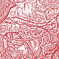 Sissy Spacek - Materializing Defective Fascia