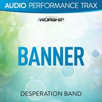 Desperation Band - Banner