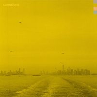 Carnations - Bully