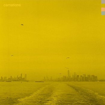 Carnations - Bully