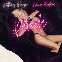 Anthony Wayne featuring Xavier Montana - Pamela (Explicit)