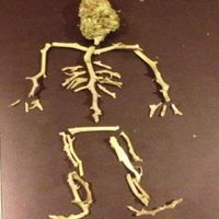 GABBy - Tiempo al tiempo (Explicit)