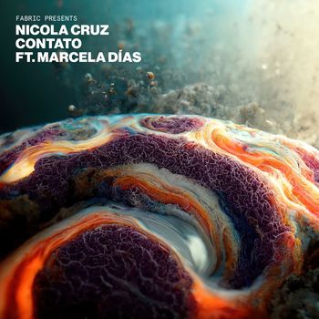 Nicola Cruz - Contato