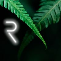 Rudmer - Madeira