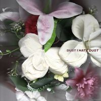 DUST - I Hate Dust