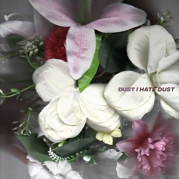 DUST - I Hate Dust