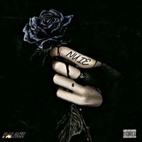 Palace - Nuie (Explicit)