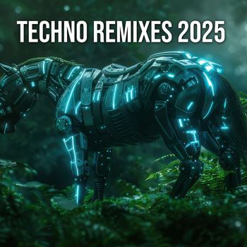 Various Artists - Techno Remixes 2025 (Explicit)