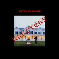 Anthony Wayne - Hamptons (Explicit)