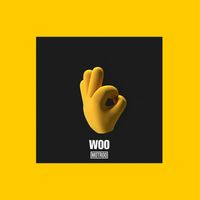 Motroo - WOO (Original Mix)