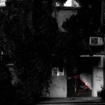 avenue - Find