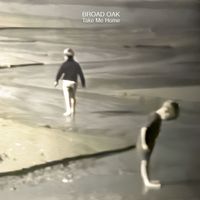 Broad Oak - Take Me Home