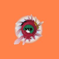 VIO - Yorkshire Mix