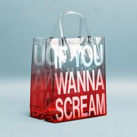 Anja Schneider - If You Wanna Scream