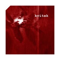 IRIS - Kvítek