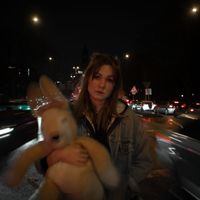 INSA - Bunnies