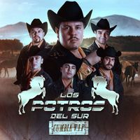 Los Potros Del Sur - Cumbia V.I.P