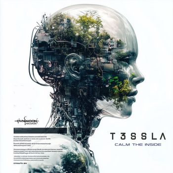 T3ssla - Calm The Inside