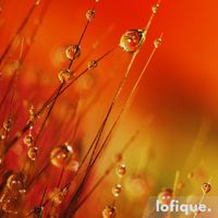 Lunar - Morning Dew