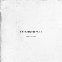 Sam Wilson - Like Everybody Else