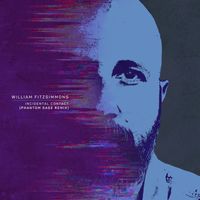 William Fitzsimmons - Incidental Contact (Phantom Sage Remix)