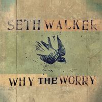 Seth Walker - I'm Getting Ready