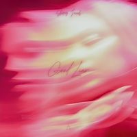 Shiraz Javed - Good Liar