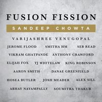 Sandeep Chowta - Fusion Fission