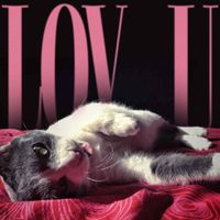 Billa Qause - Lov U
