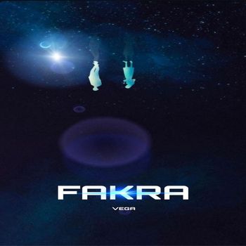 VEGA - FAKRA