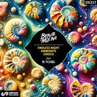 Benja Molina - Endless Night / Ammonite / Siroco