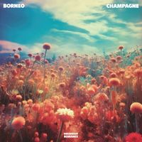Borneo - Champagne