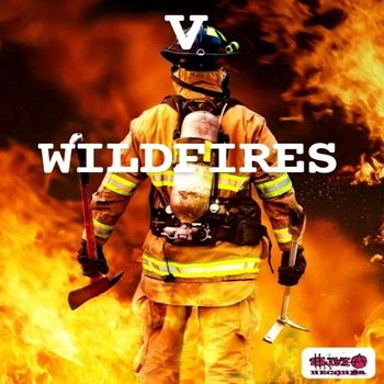 V - Wildfires