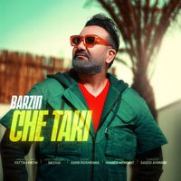 Barzin - Che Taki