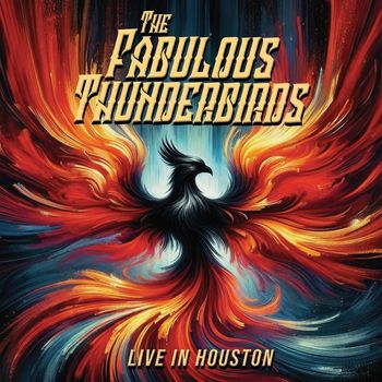 The Fabulous Thunderbirds - Live In Houston