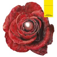 MOX - Piangono Anche Gli Uomini