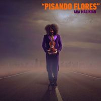 Ara Malikian - Pisando Flores