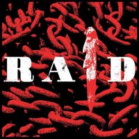 IDO - RAID