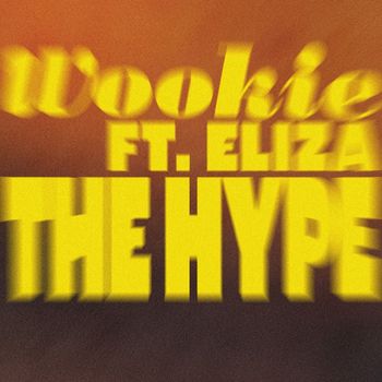 Wookie - The Hype