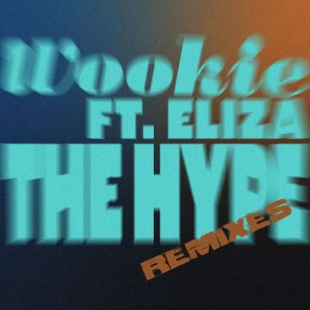 Wookie - The Hype (Remixes)