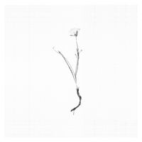 Yehezkel Raz - Consolation No. 2 in A-Flat Major