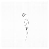 Yehezkel Raz - Consolation No. 1 in E-Flat Major
