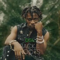 DSL - Back To The Roots