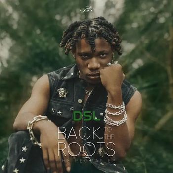 DSL - Back To The Roots